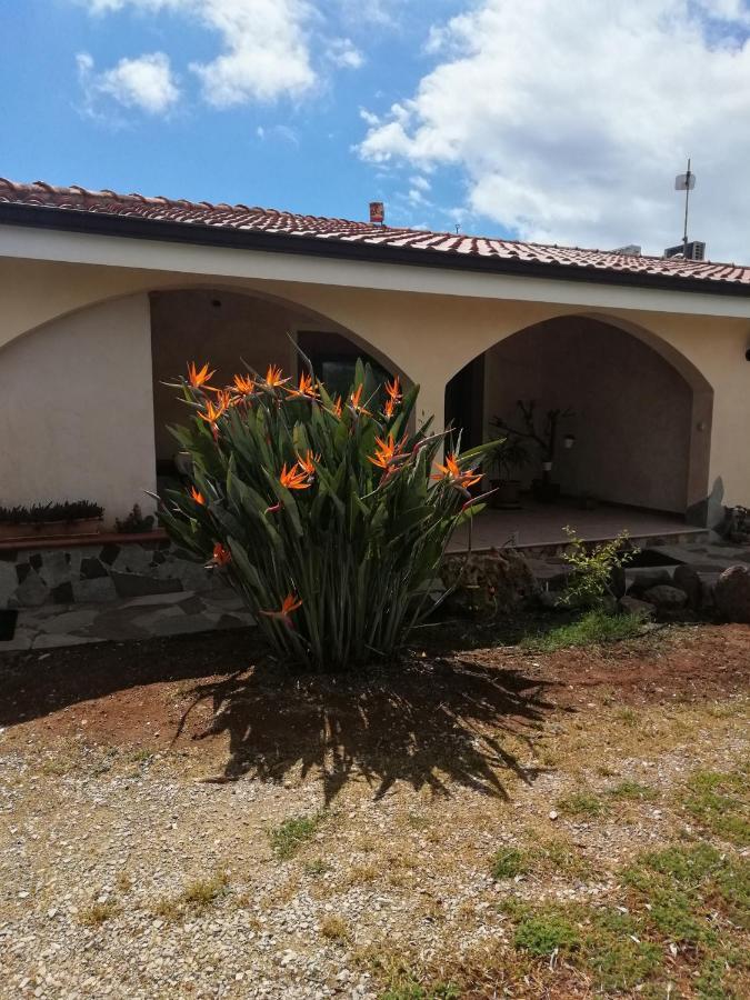Da Patrizia Bed & Breakfast Alghero Exterior photo
